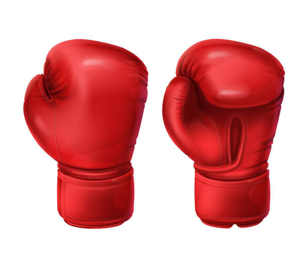 Detail Boxing Glove Picture Nomer 10