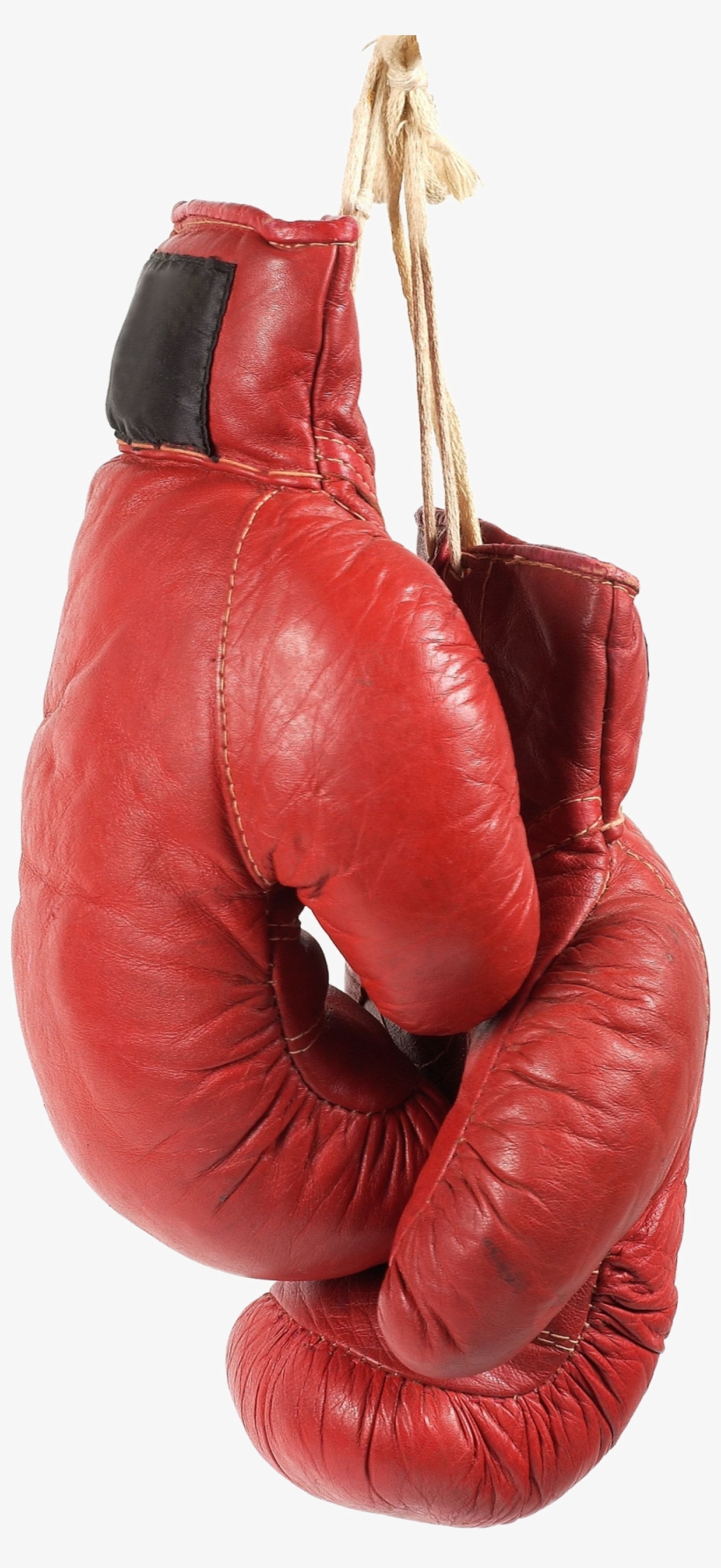 Detail Boxing Glove Transparent Nomer 25