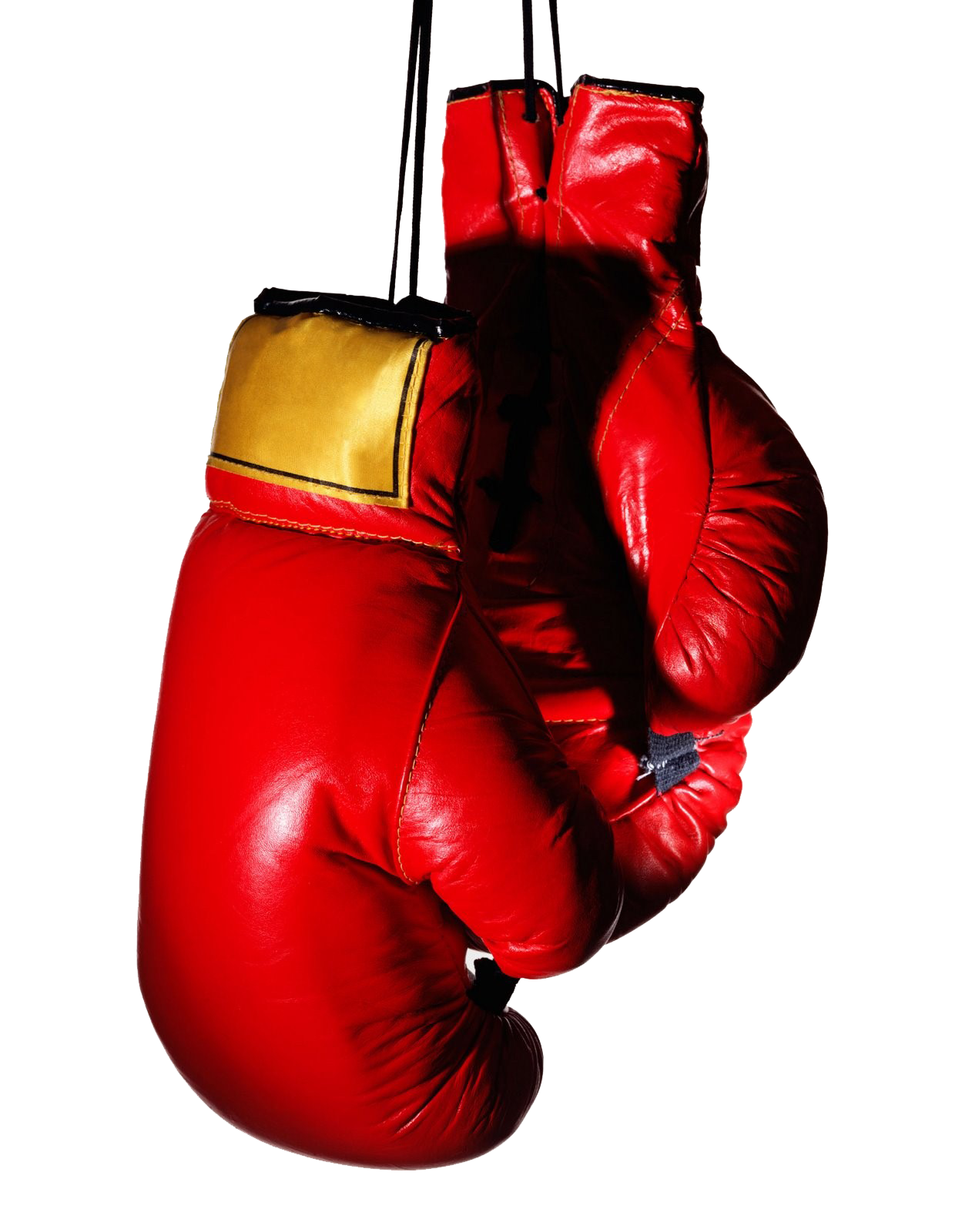 Detail Boxing Glove Transparent Nomer 28