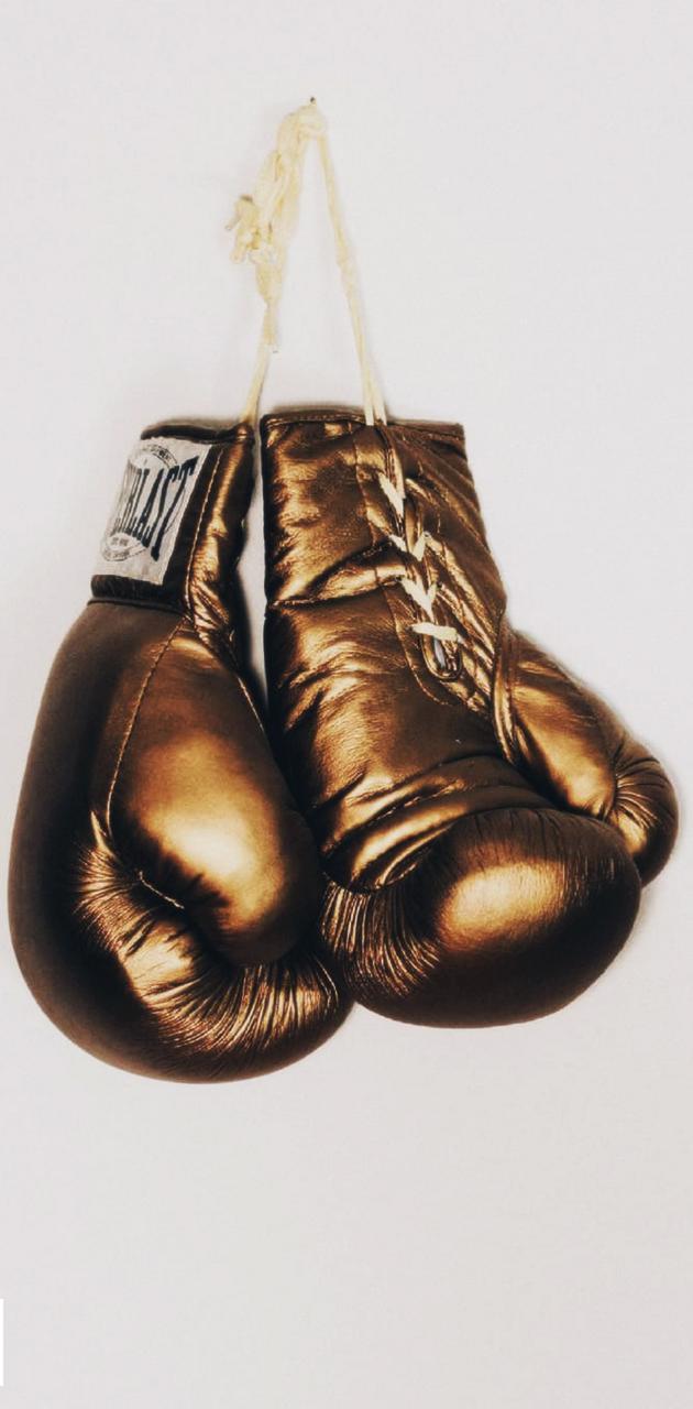 Detail Boxing Gloves Backgrounds Nomer 14