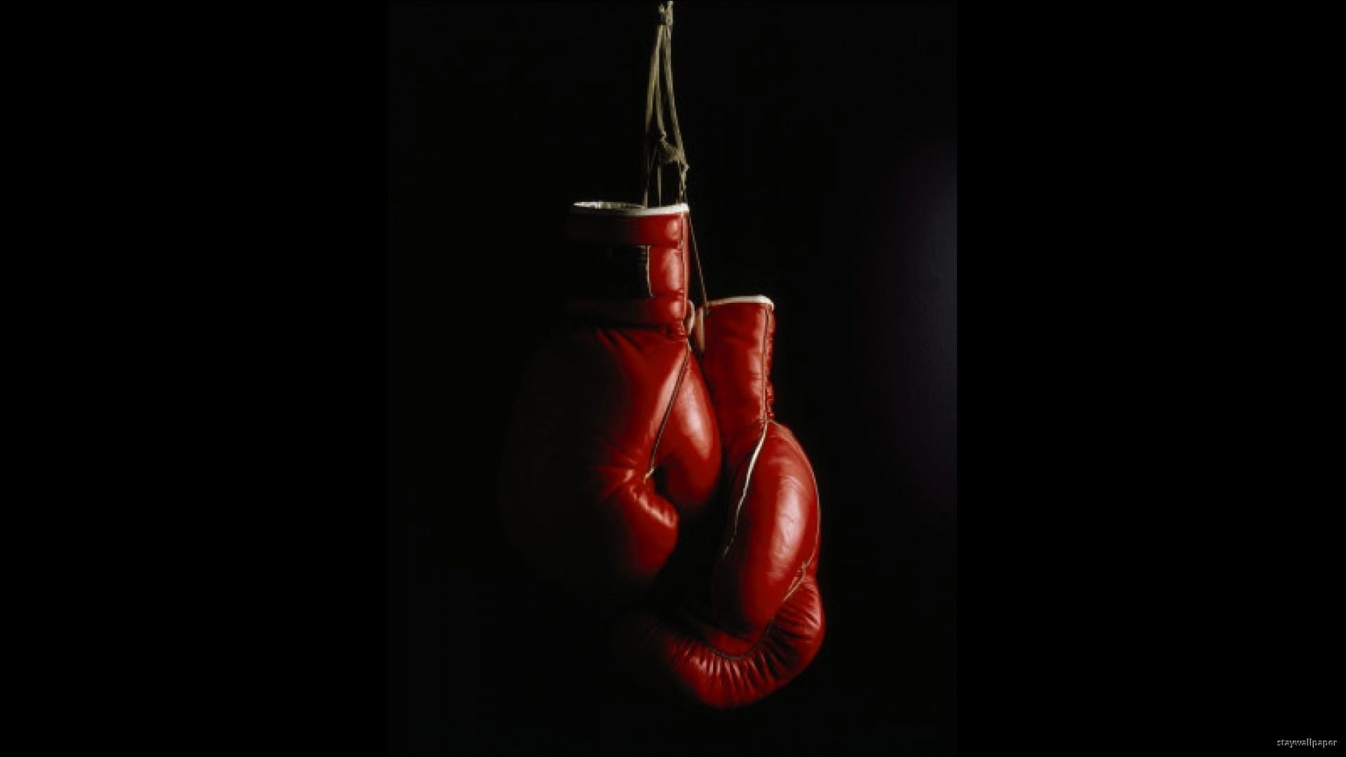 Detail Boxing Gloves Backgrounds Nomer 19