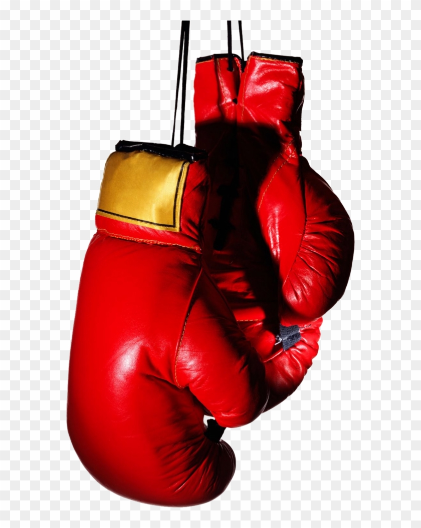 Detail Boxing Gloves Clipart Png Nomer 21