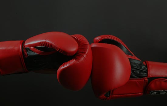 Detail Boxing Gloves Images Nomer 24