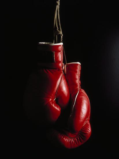 Boxing Gloves Photo - KibrisPDR
