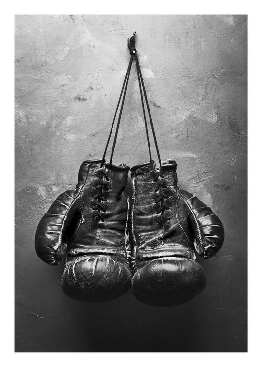 Detail Boxing Gloves Photo Nomer 7