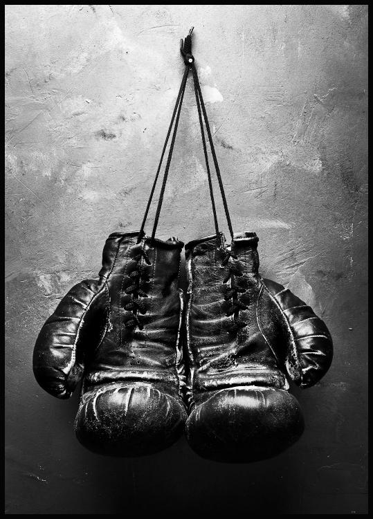 Detail Boxing Gloves Pic Nomer 3