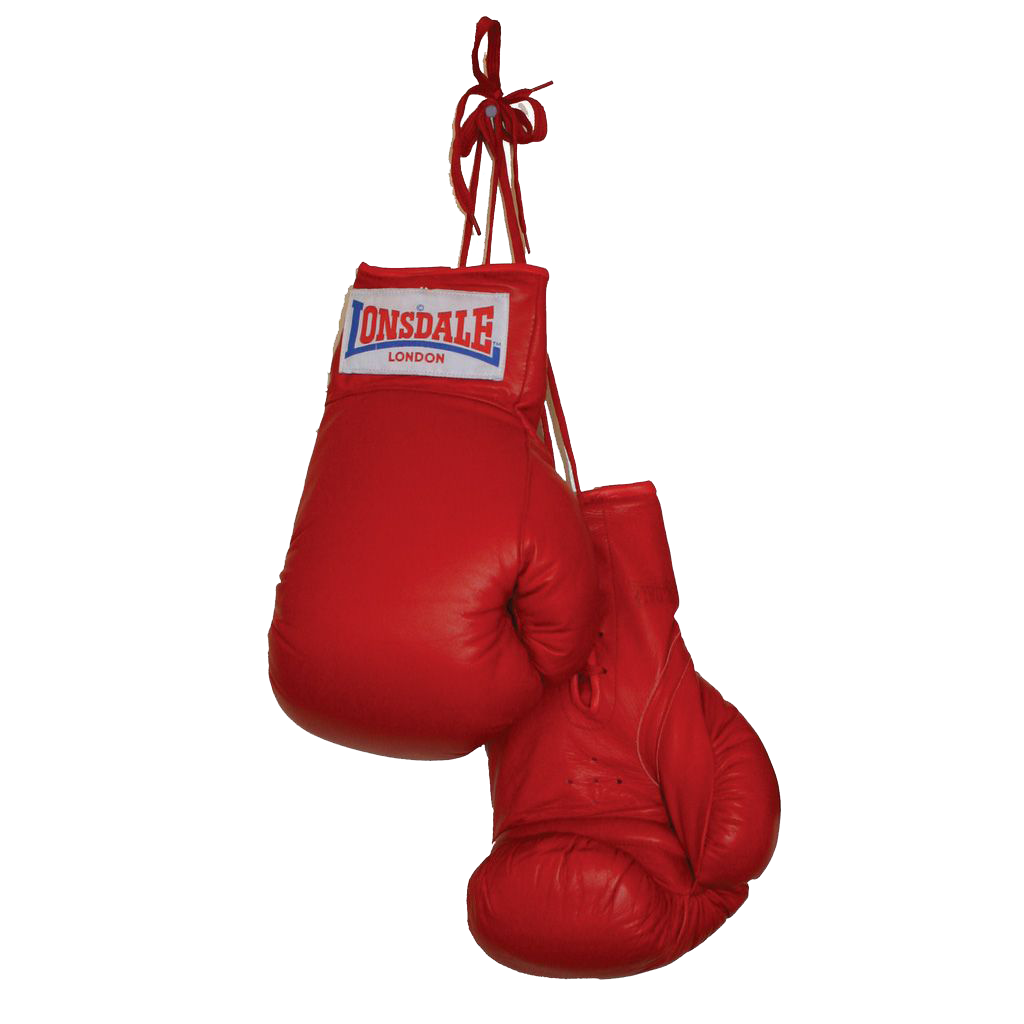 Detail Boxing Gloves Png Nomer 2