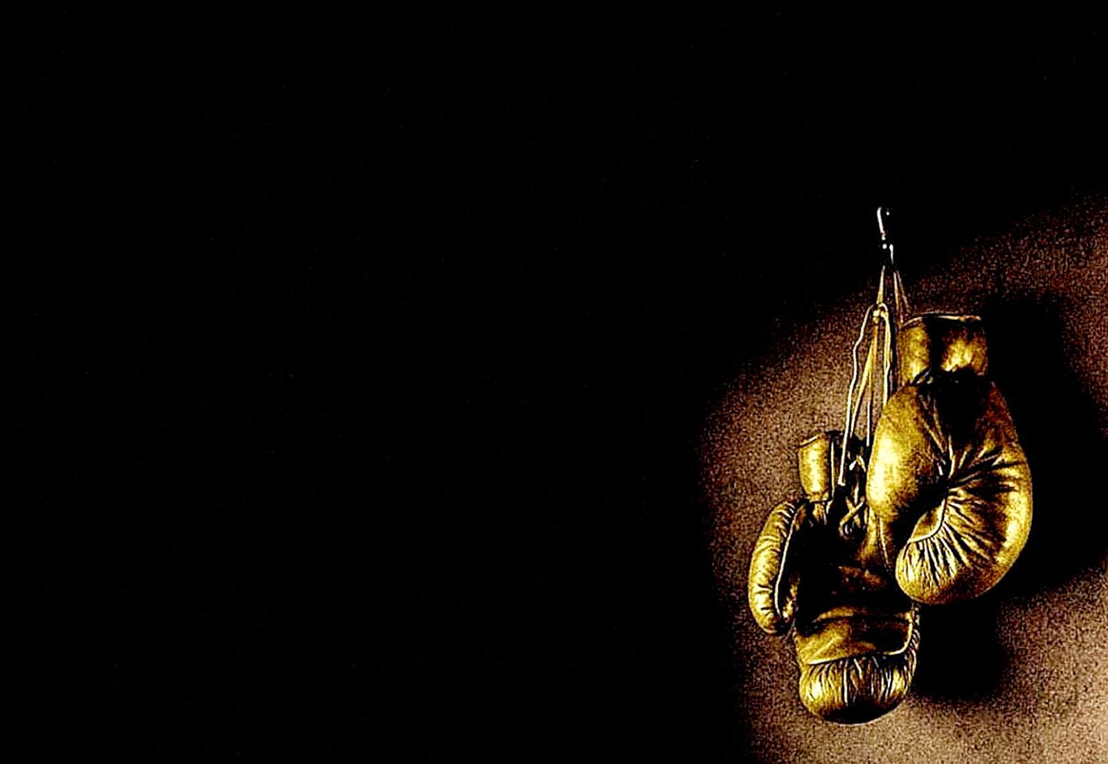 Detail Boxing Gloves Wallpaper Hd Nomer 8