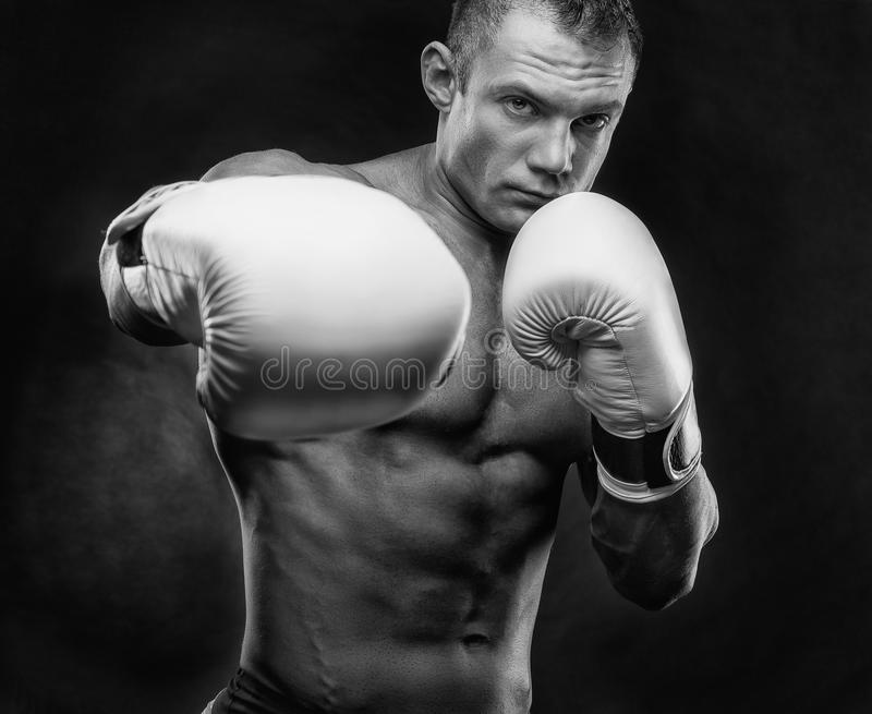 Detail Boxing Images Free Nomer 17