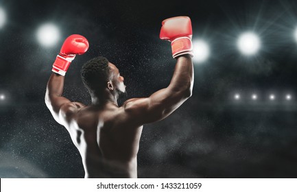 Detail Boxing Images Free Nomer 48