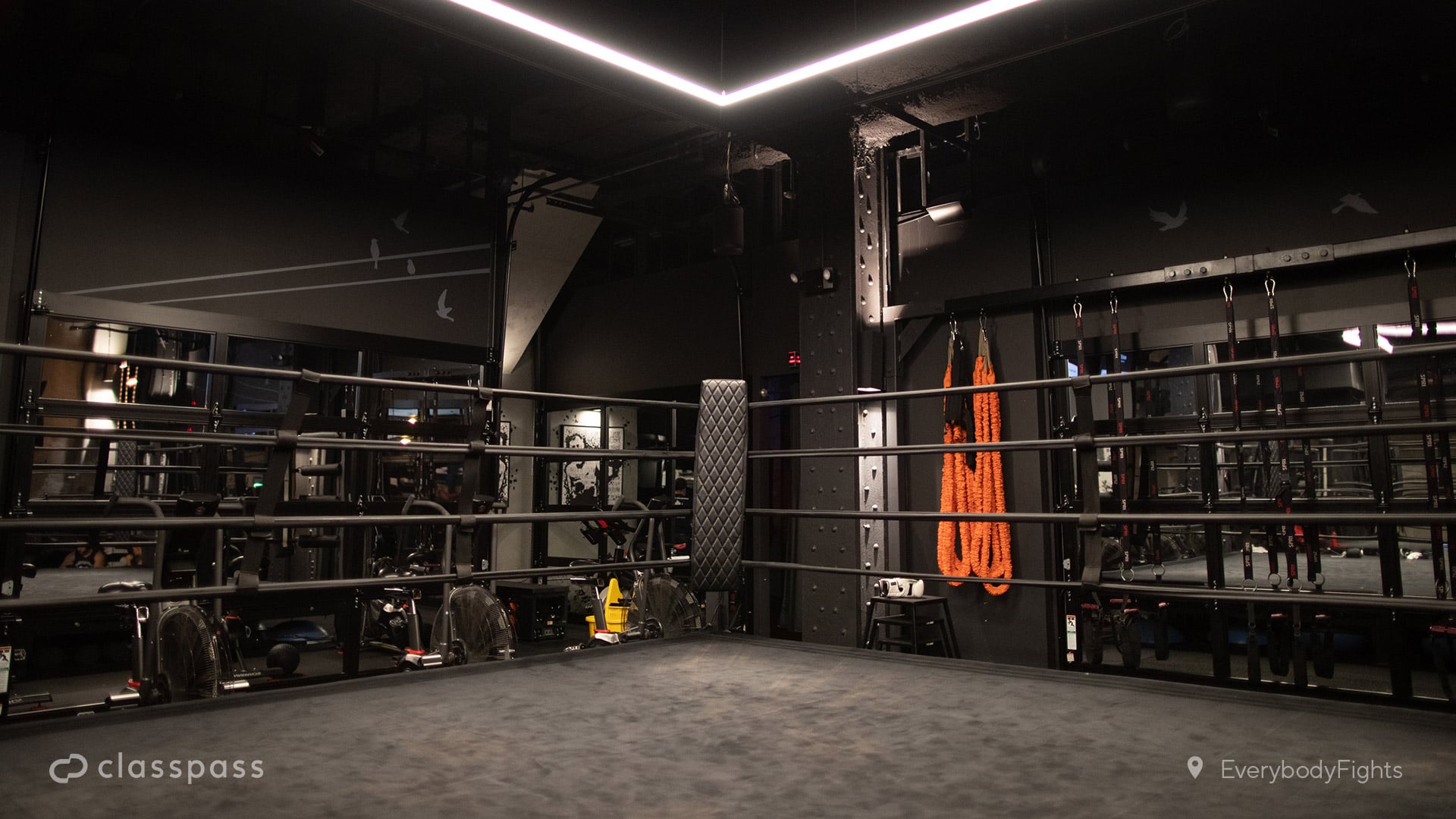 Detail Boxing Ring Background Nomer 20