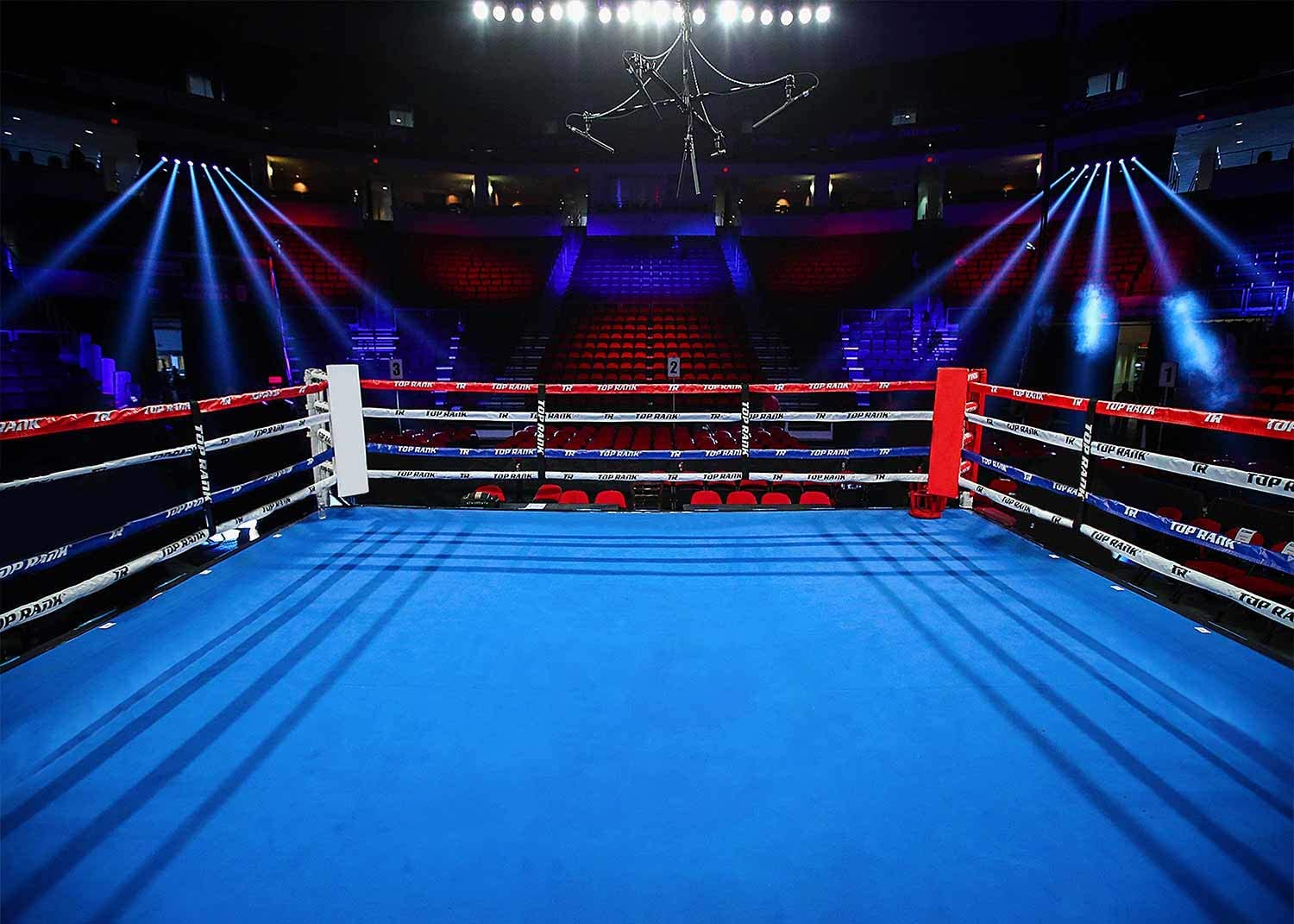 Detail Boxing Ring Background Nomer 4