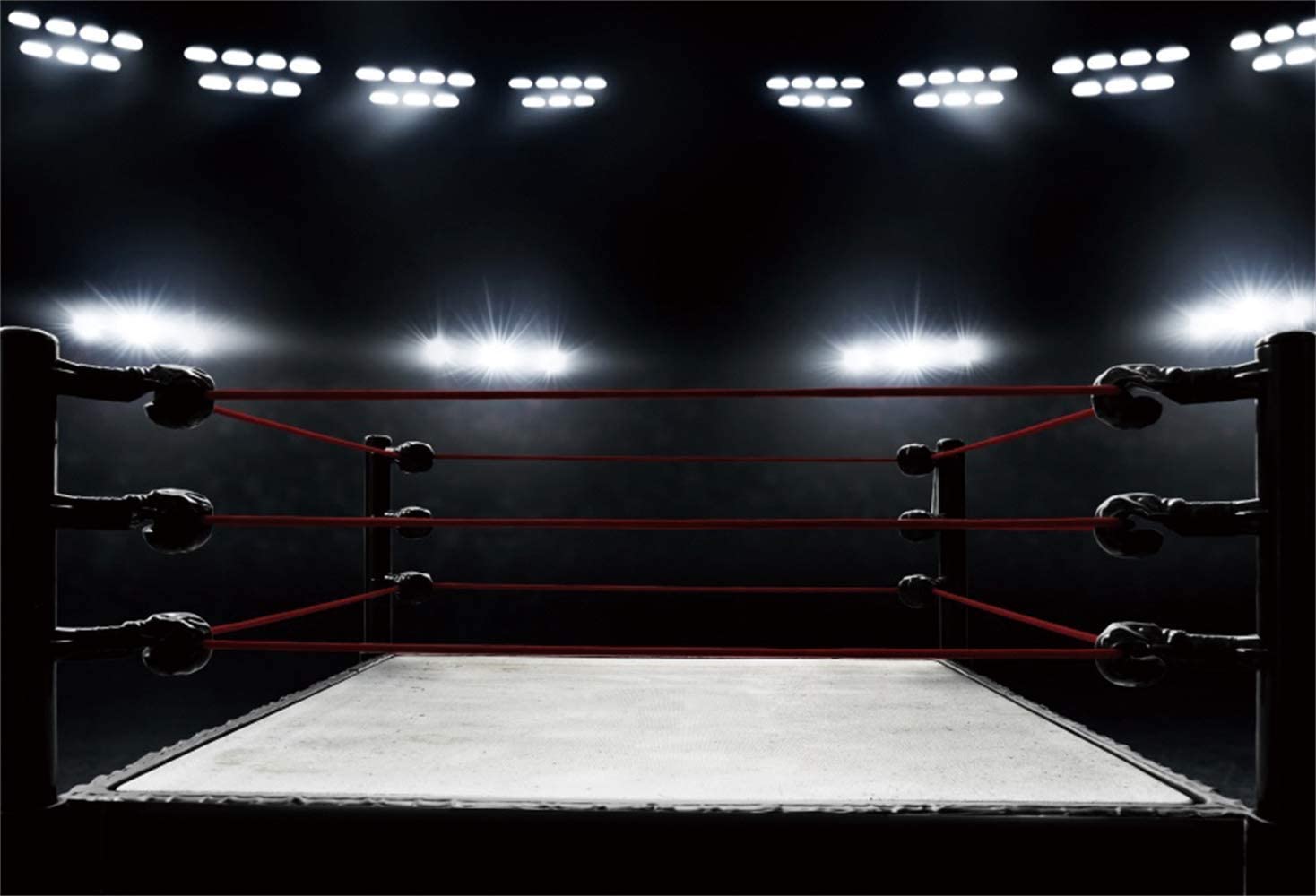 Detail Boxing Ring Background Nomer 10