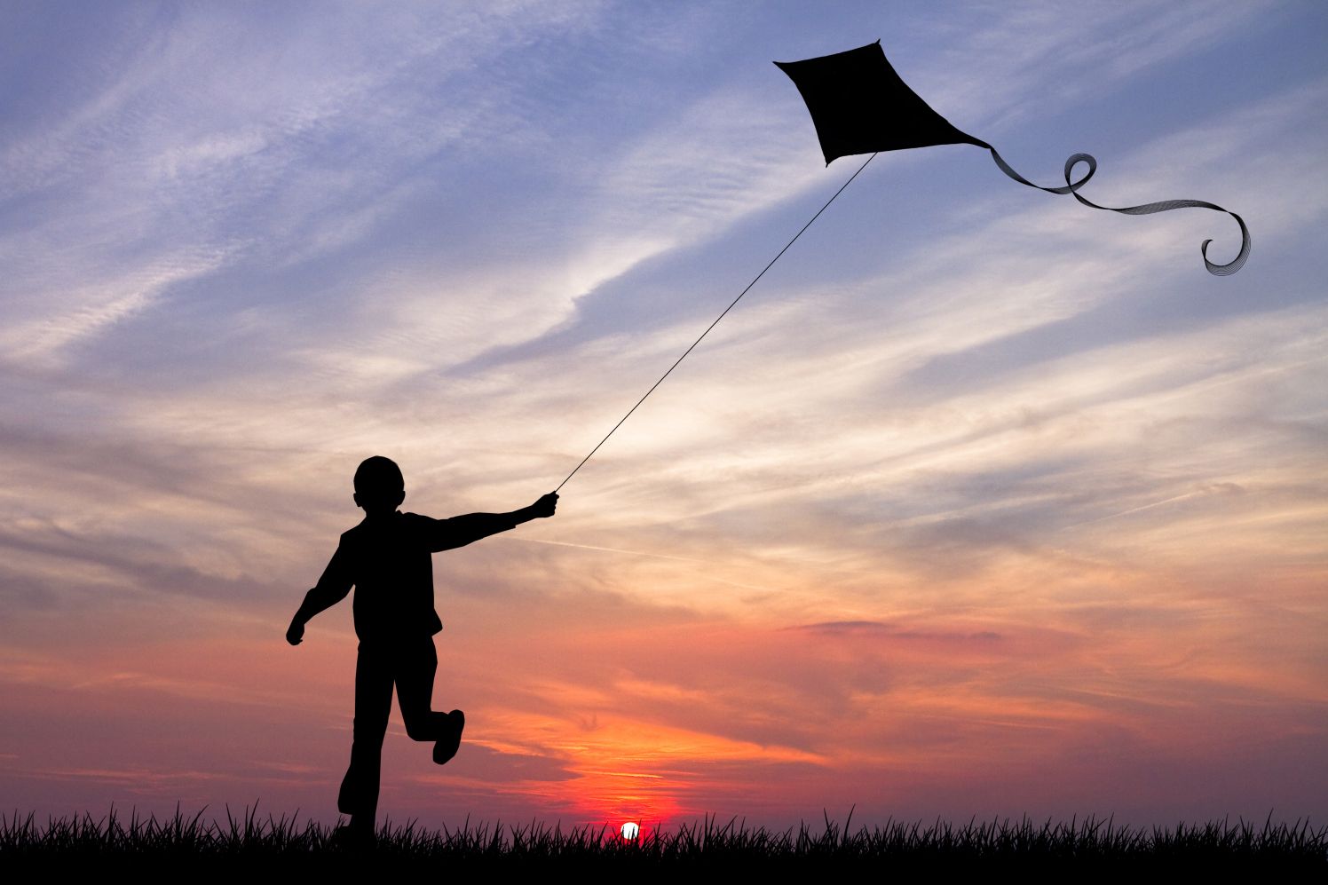 Detail Boy Flying Kite Silhouette Nomer 23