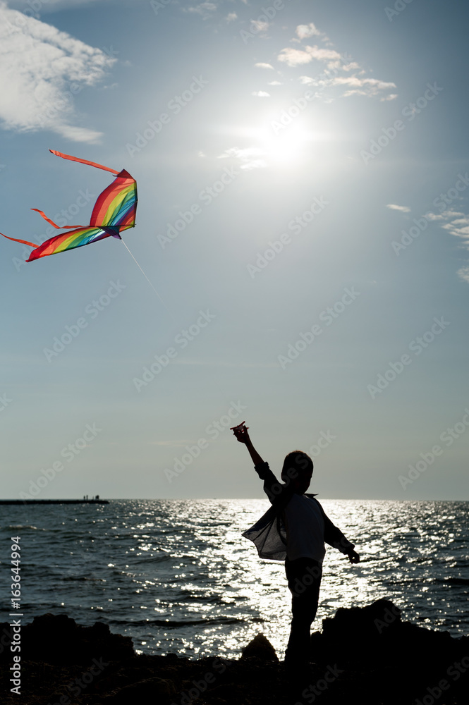 Detail Boy Flying Kite Silhouette Nomer 52