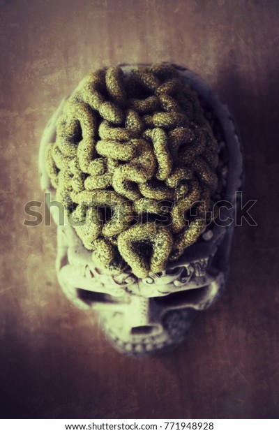 Detail Brain Cactus In Skull Pot Nomer 26