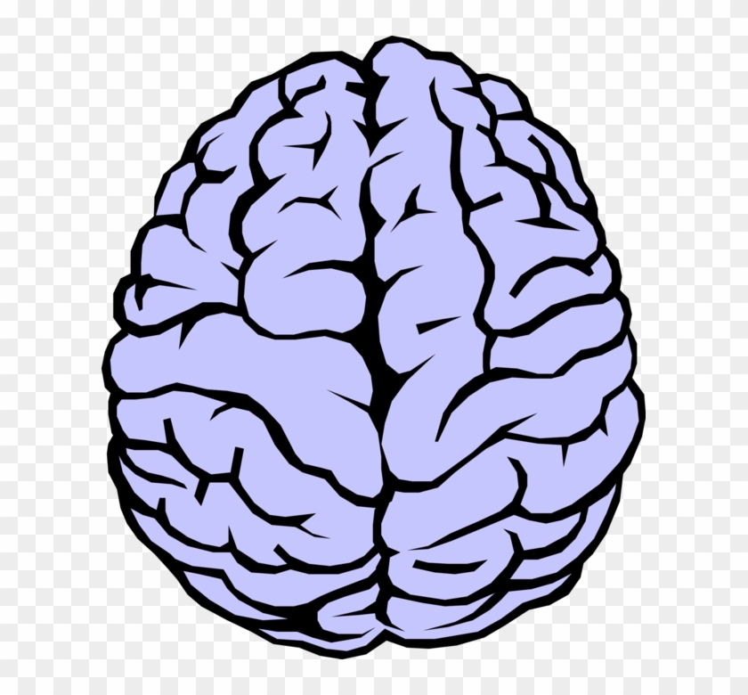 Detail Brain Clipart Png Nomer 29