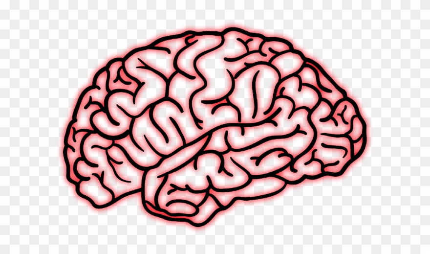 Detail Brain Clipart Png Nomer 34