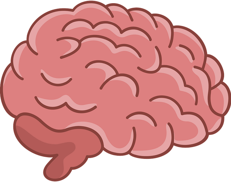 Detail Brain Clipart Png Nomer 39