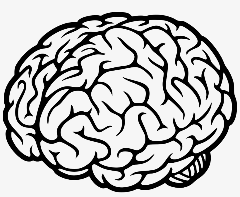 Detail Brain Image Transparent Background Nomer 12