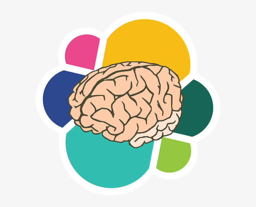 Detail Brain Image Transparent Background Nomer 19