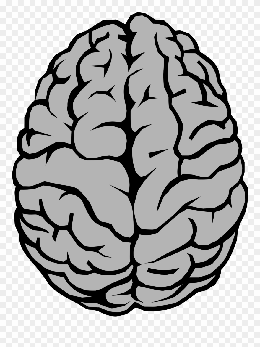 Detail Brain Image Transparent Background Nomer 22