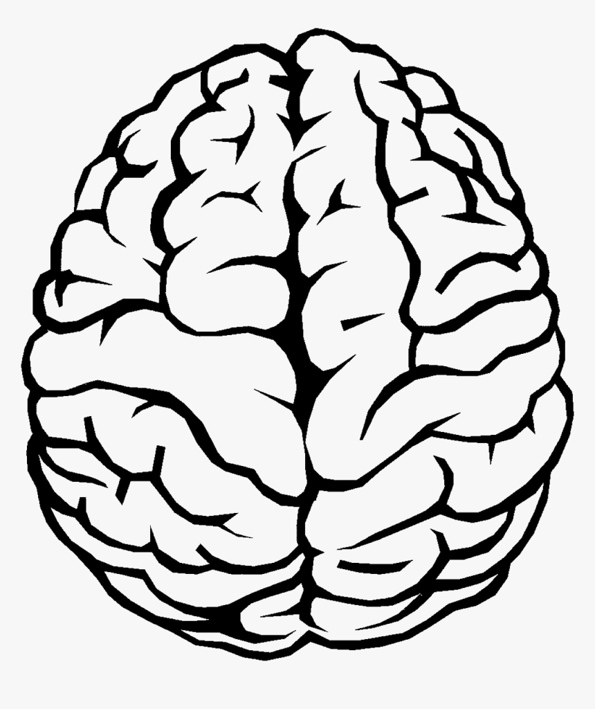 Detail Brain Image Transparent Background Nomer 24