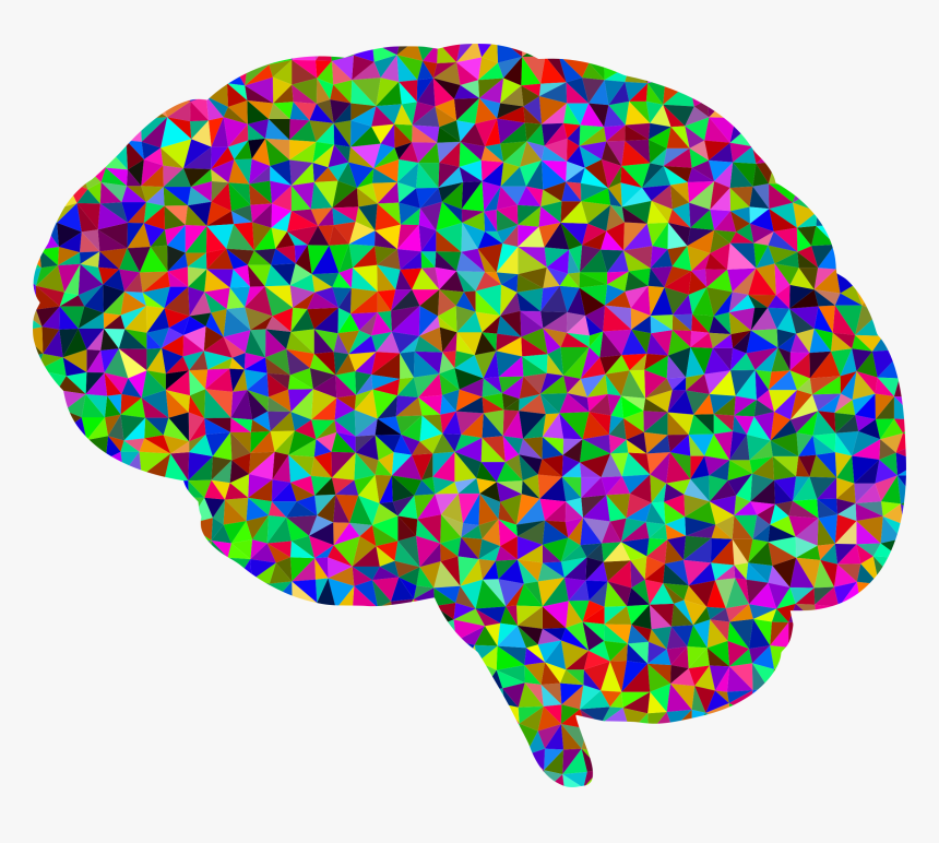 Detail Brain Image Transparent Background Nomer 27