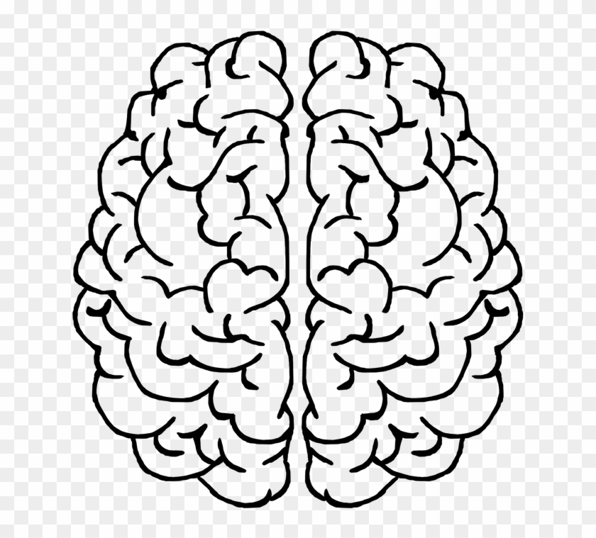 Detail Brain Image Transparent Background Nomer 28