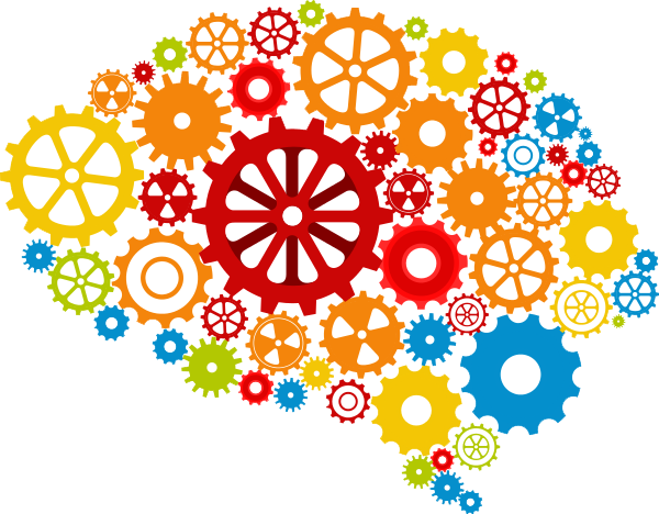 Detail Brain Image Transparent Background Nomer 36