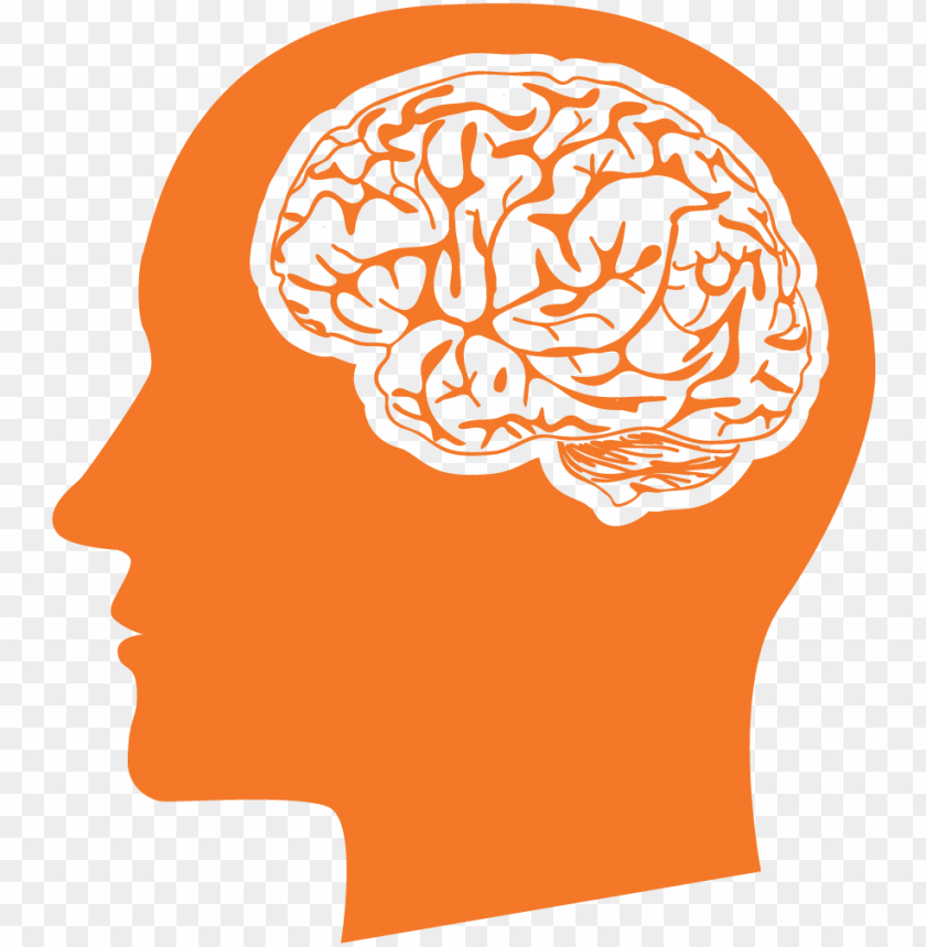 Detail Brain Image Transparent Background Nomer 39