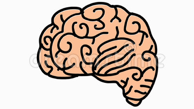 Detail Brain Image Transparent Background Nomer 40