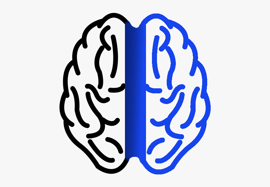 Detail Brain Image Transparent Background Nomer 41