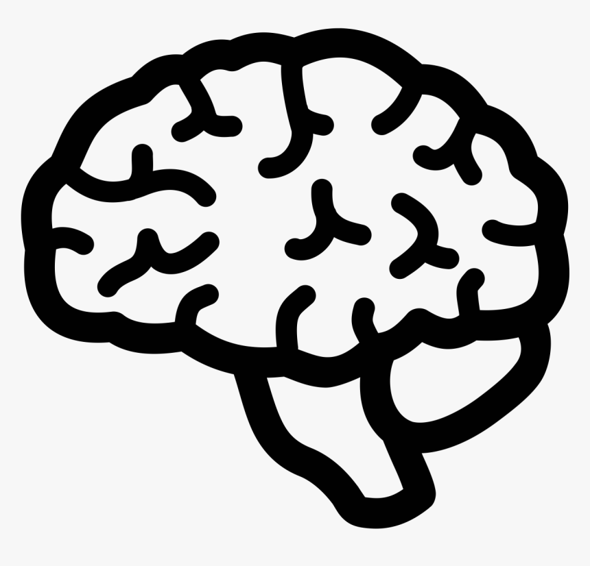 Detail Brain Image Transparent Background Nomer 45