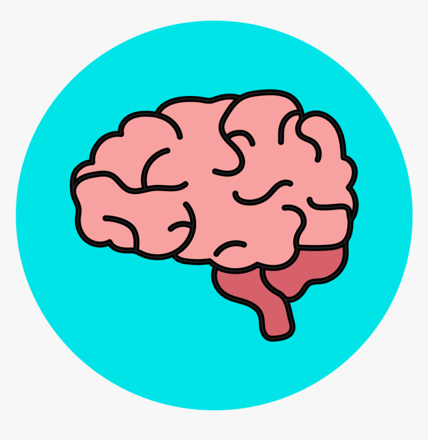 Detail Brain Image Transparent Background Nomer 47