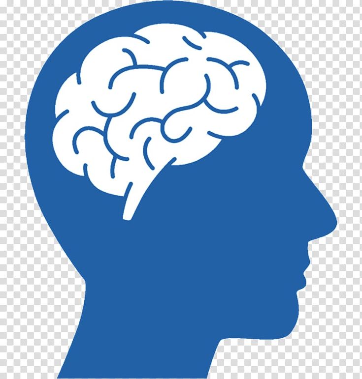 Detail Brain Image Transparent Background Nomer 48