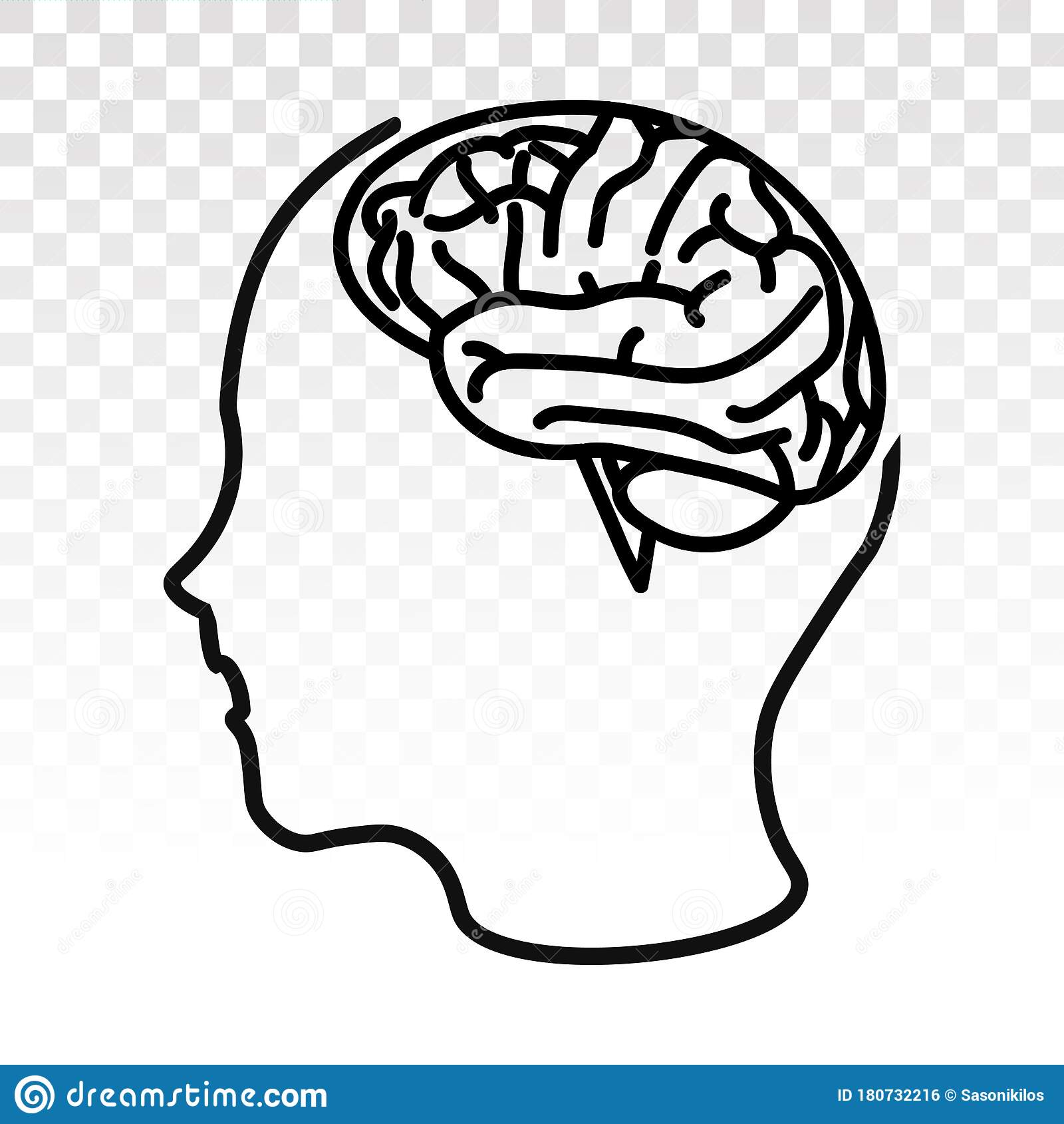 Detail Brain Image Transparent Background Nomer 49