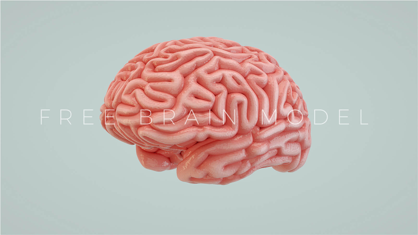 Detail Brain Images Free Nomer 38