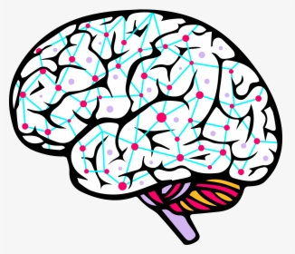 Detail Brain Png Clipart Nomer 27