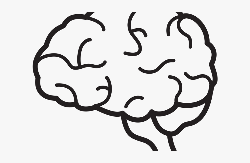 Detail Brain Png Clipart Nomer 40