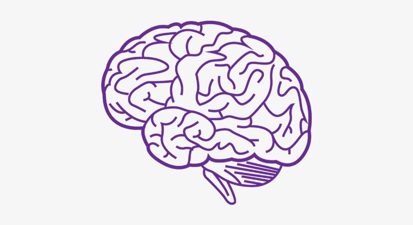 Detail Brain Png Transparent Nomer 21