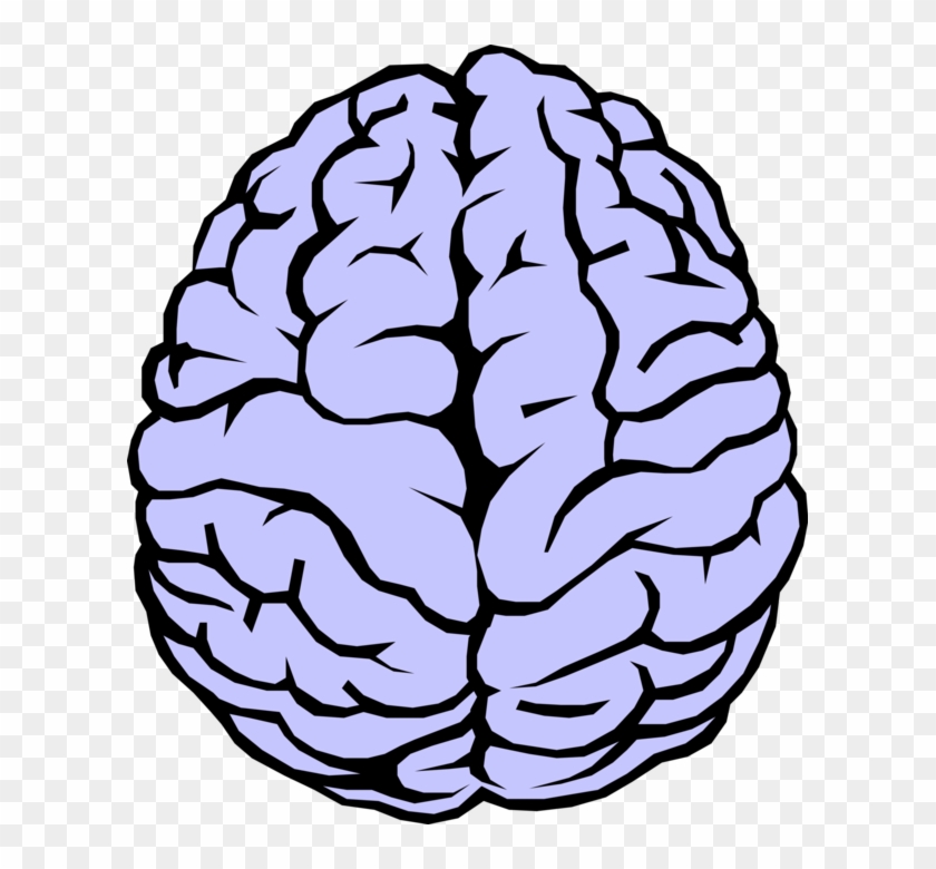 Detail Brain Png Transparent Nomer 23