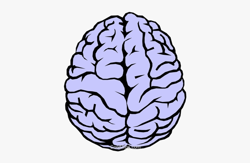 Detail Brain Transparent Image Nomer 12