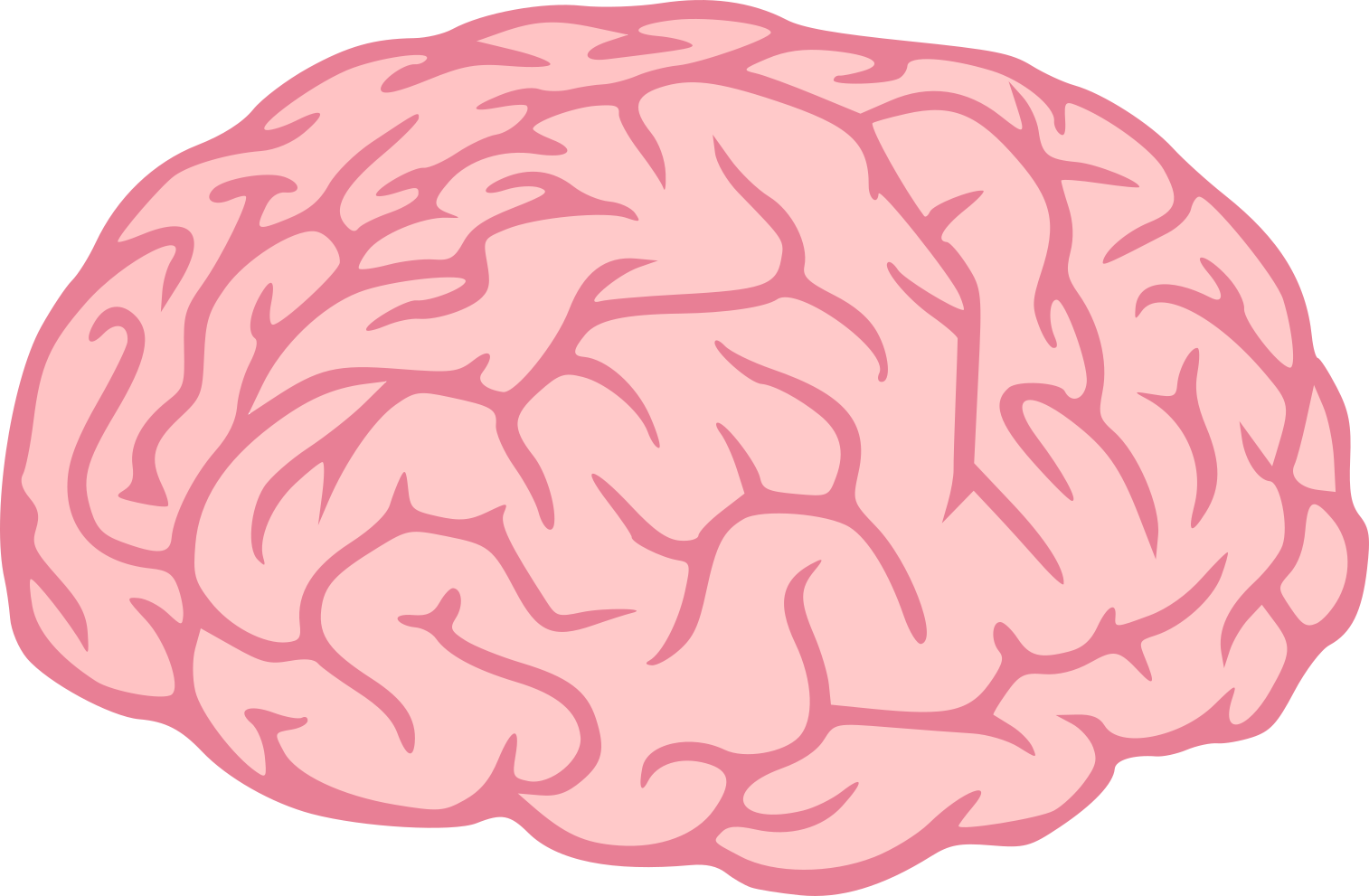 Detail Brain Transparent Image Nomer 23