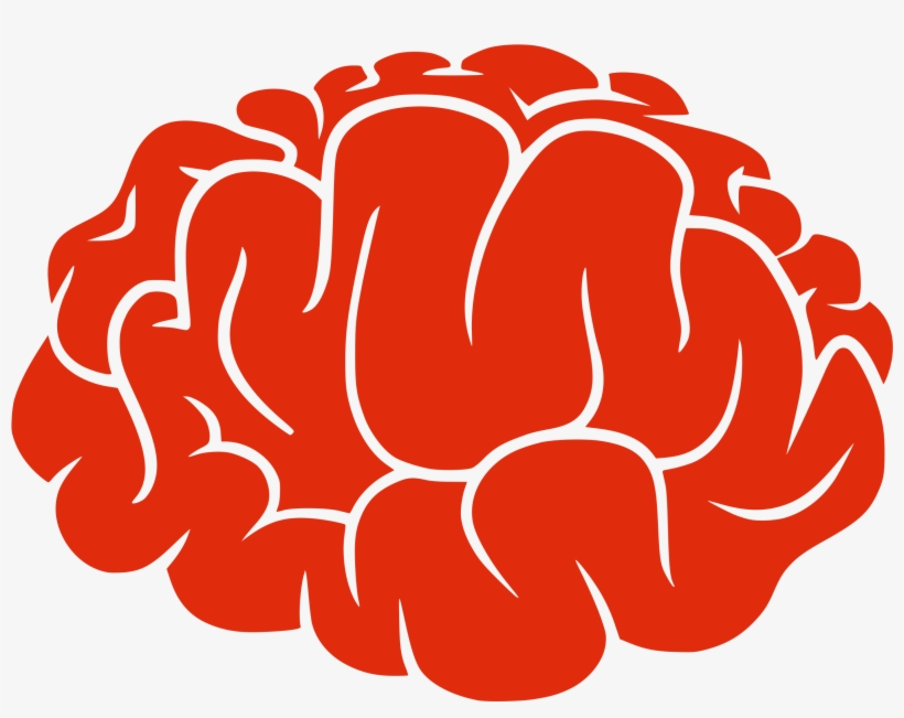 Detail Brain Transparent Image Nomer 38