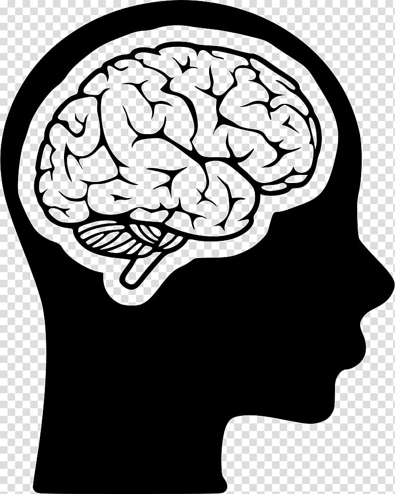 Detail Brain Transparent Image Nomer 39