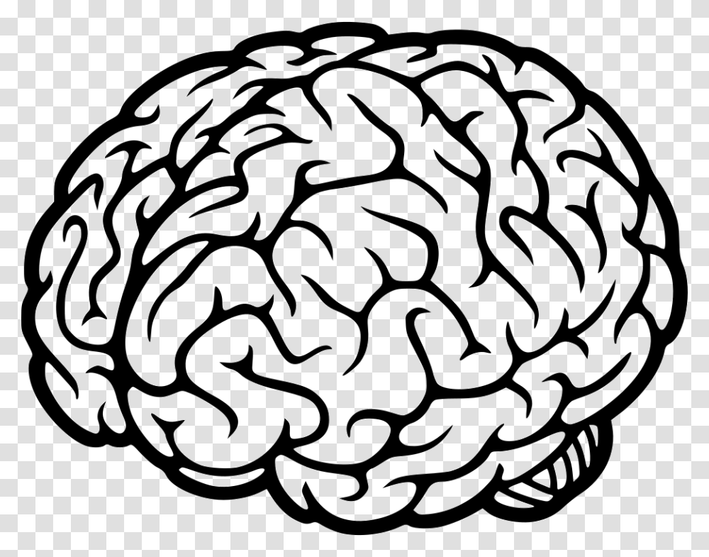 Detail Brain Transparent Image Nomer 54