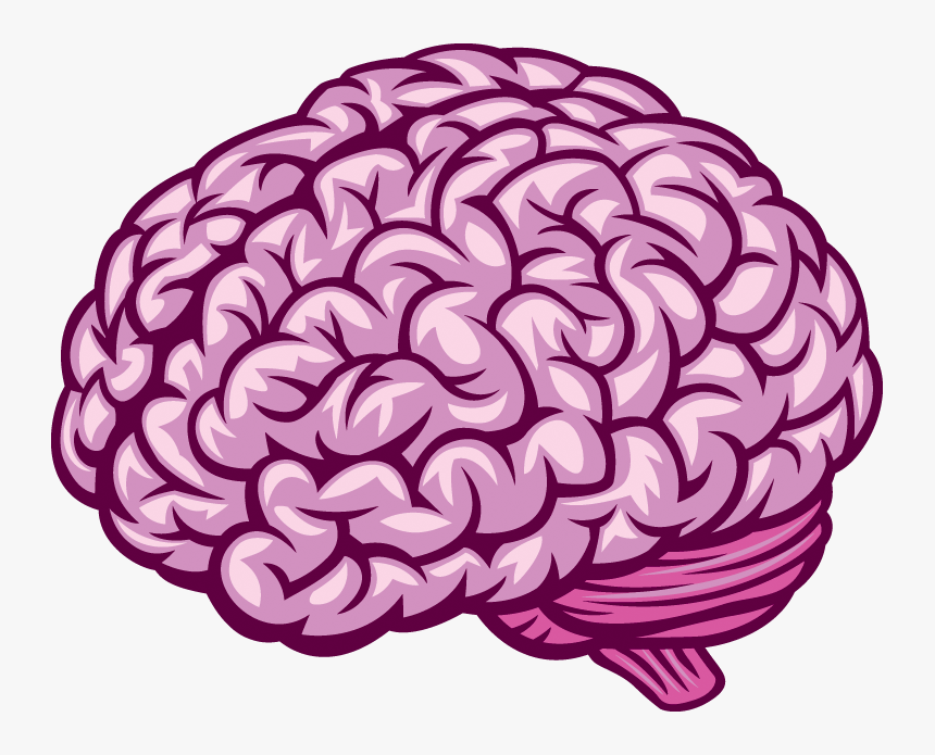 Brain Vector Png - KibrisPDR