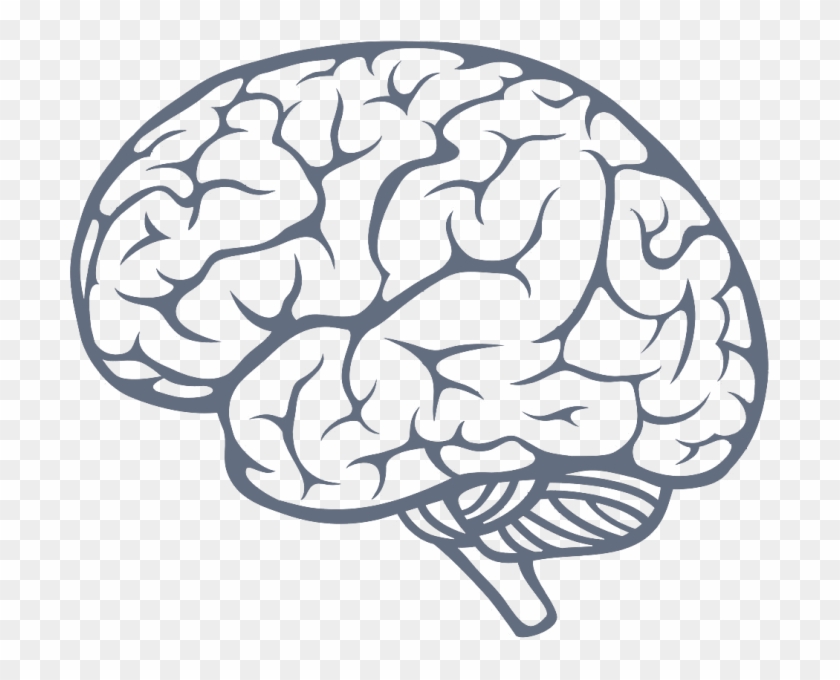 Detail Brain Vector Png Nomer 11