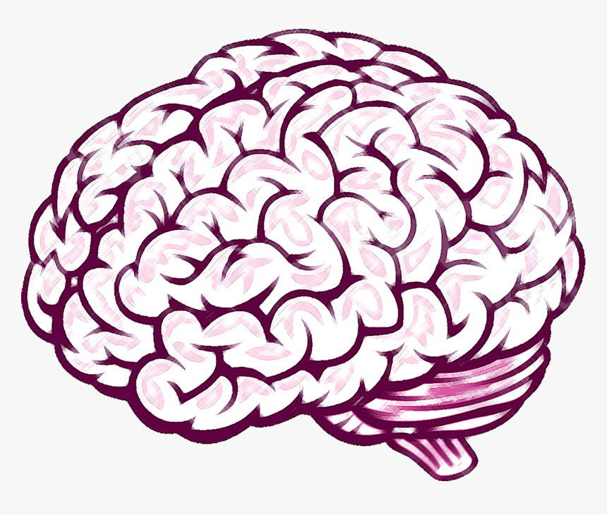 Detail Brain Vector Png Nomer 17
